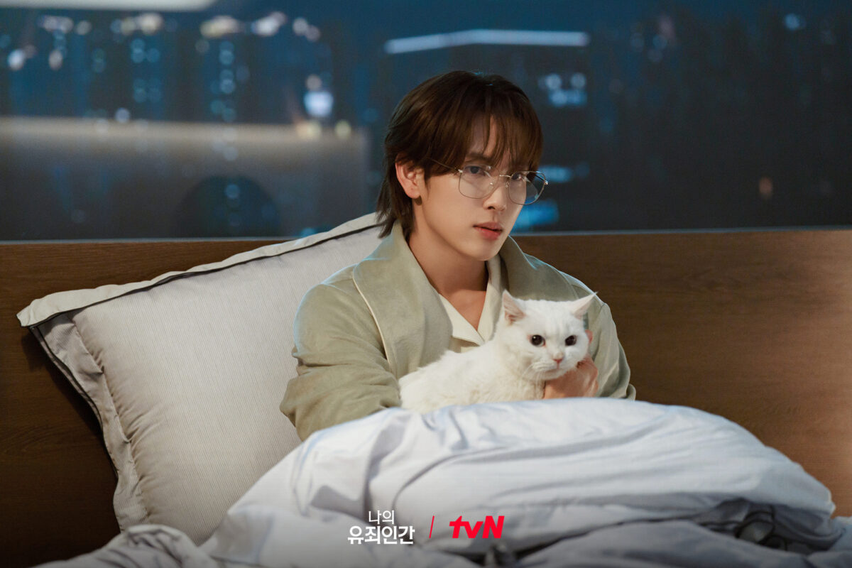 love-in-disguise-yim-si-wan4