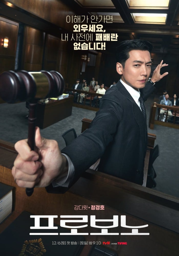 pro-bono-poster2